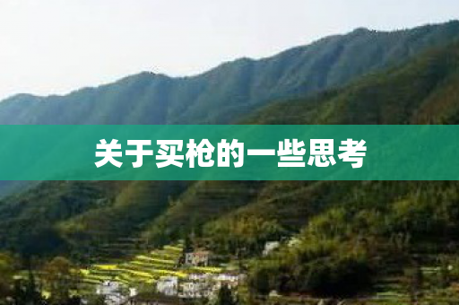 关于买枪的一些思考图片