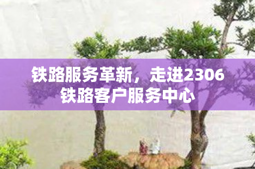 走进2306铁路客户服务中心图片