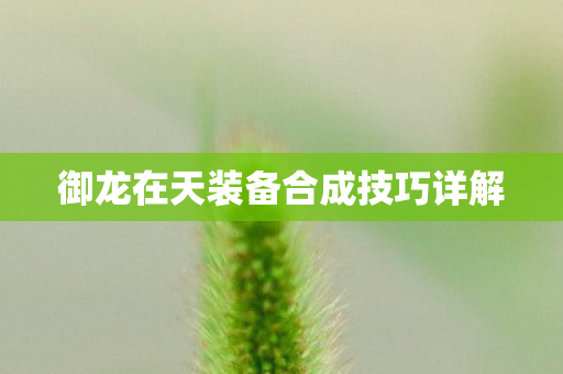 御龙在天装备合成技巧详解图片