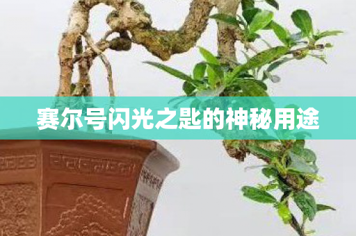 赛尔号闪光之匙的神秘用途图片