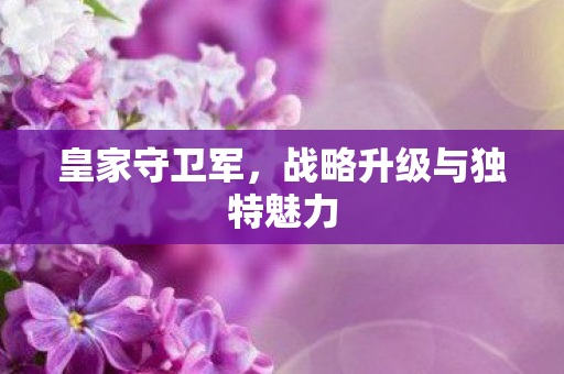 战略升级与独特魅力图片