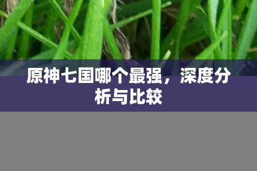 原神七国哪个最强图片