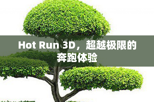 Hot Run 3D图片