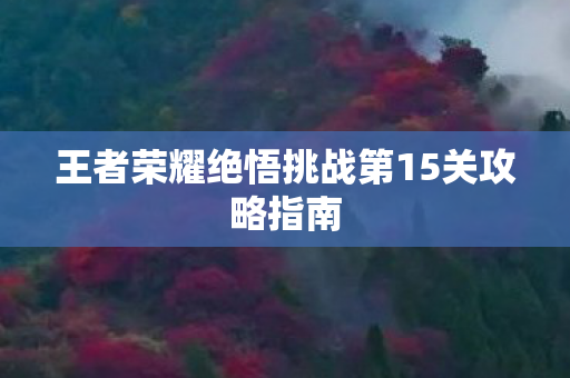 王者荣耀绝悟挑战第15关攻略指南图片
