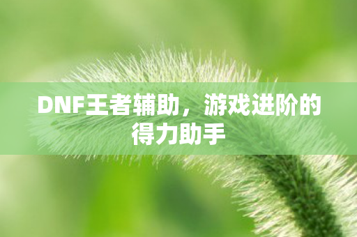 游戏进阶的得力助手图片
