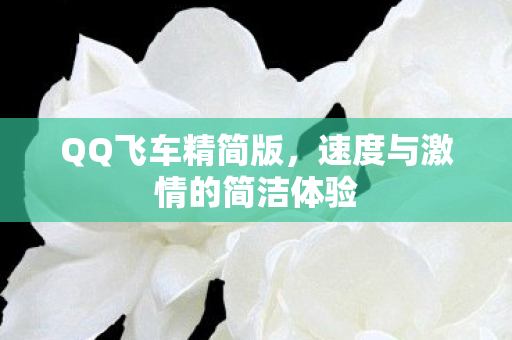 速度与激情的简洁体验图片