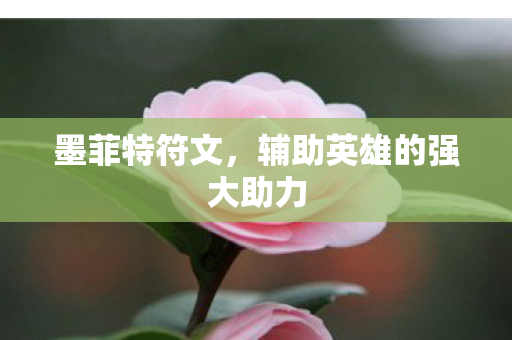 辅助英雄的强大助力图片