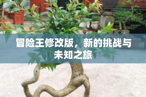新的挑战与未知之旅图片