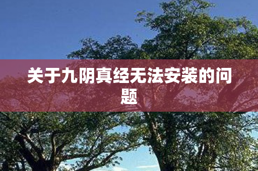 关于九阴真经无法安装的问题图片