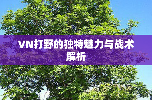 VN打野的独特魅力与战术解析图片