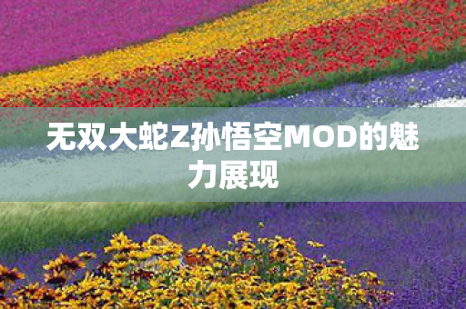无双大蛇Z孙悟空MOD的魅力展现图片