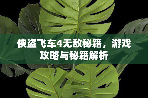 侠盗飞车4无敌秘籍图片