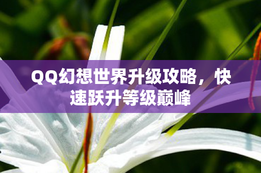 QQ幻想世界升级攻略图片