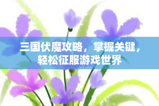 轻松征服游戏世界图片