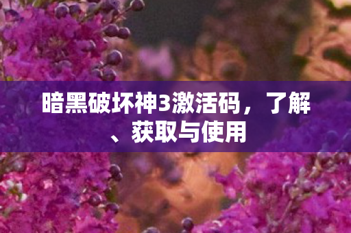 暗黑破坏神3激活码图片