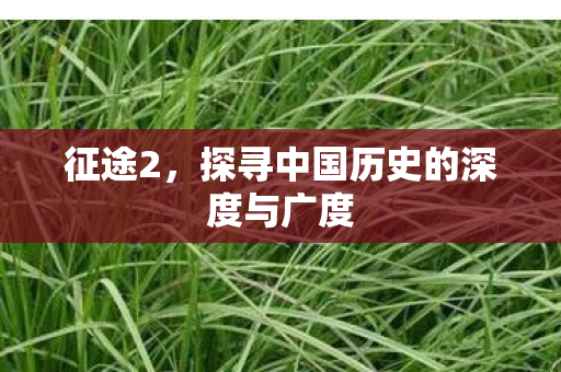 探寻中国历史的深度与广度图片