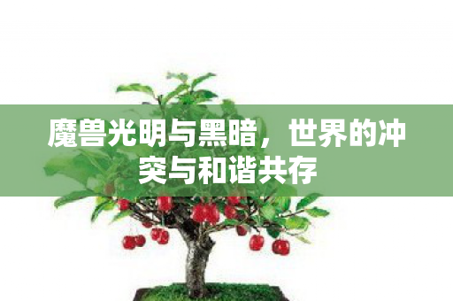 世界的冲突与和谐共存图片