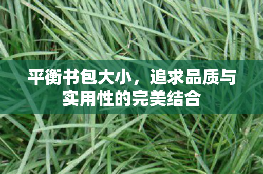 追求品质与实用性的完美结合图片