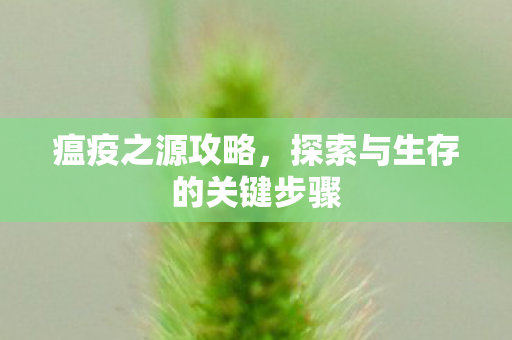 探索与生存的关键步骤图片