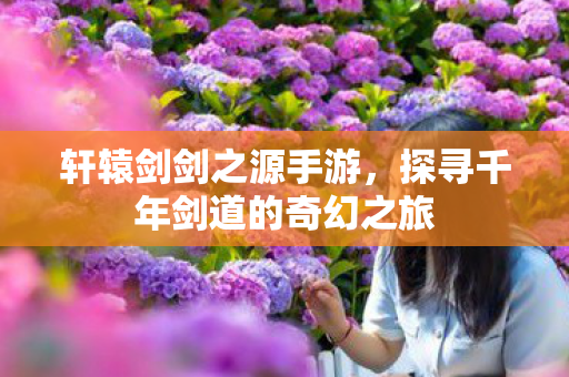 探寻千年剑道的奇幻之旅图片