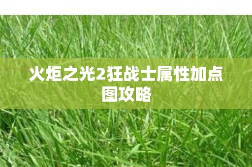 火炬之光2狂战士属性加点图攻略图片