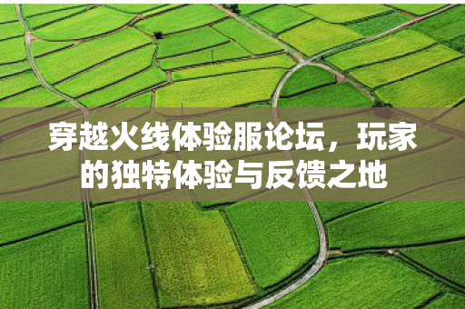 玩家的独特体验与反馈之地图片