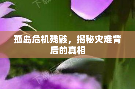 揭秘灾难背后的真相图片