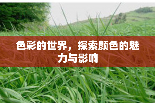 探索颜色的魅力与影响图片