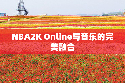 NBA2K Online与音乐的完美融合图片