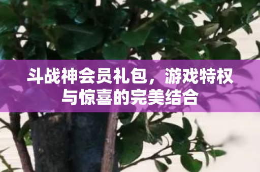 游戏特权与惊喜的完美结合图片