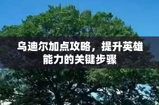 提升英雄能力的关键步骤图片