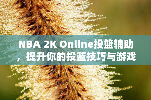 NBA 2K Online投篮辅助图片
