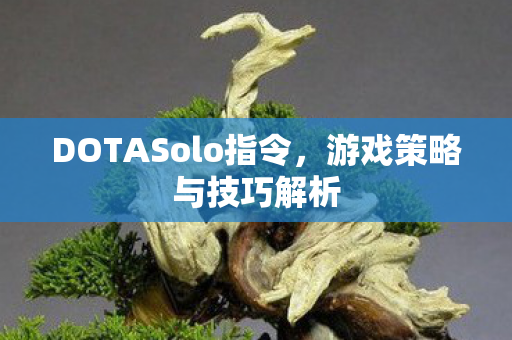DOTASolo指令图片