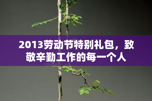 2013劳动节特别礼包图片