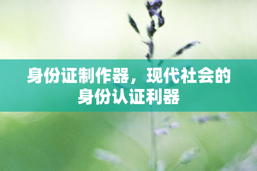 现代社会的身份认证利器图片