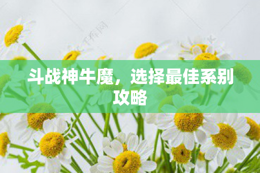 选择最佳系别攻略图片