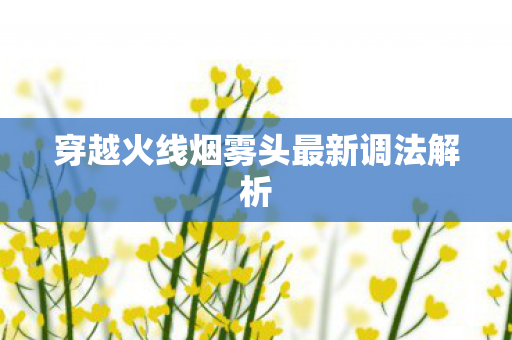 穿越火线烟雾头最新调法解析图片