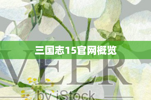 三国志15官网概览图片