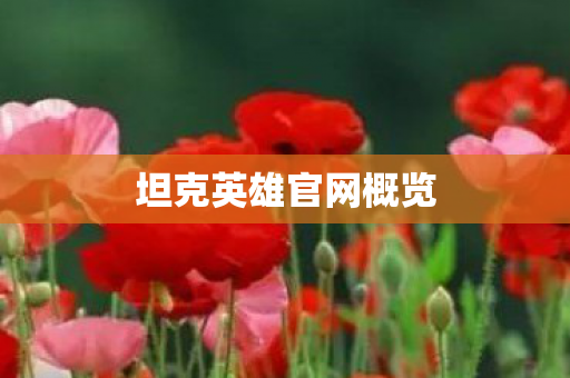 坦克英雄官网概览图片