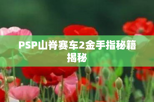 PSP山脊赛车2金手指秘籍揭秘图片