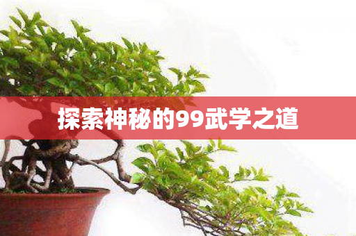 探索神秘的99武学之道图片