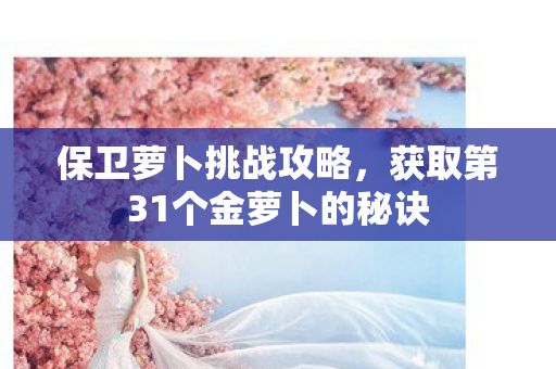 获取第31个金萝卜的秘诀图片