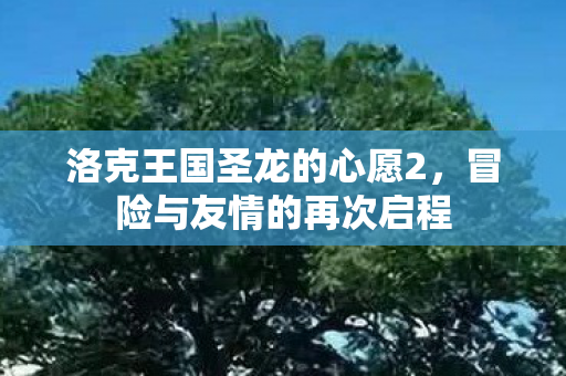 洛克王国圣龙的心愿2图片