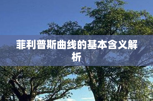 菲利普斯曲线的基本含义解析图片