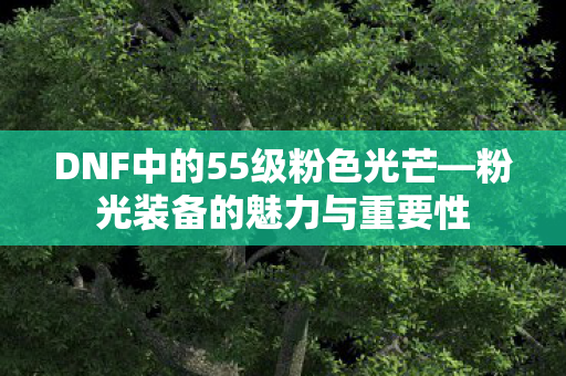 DNF中的55级粉色光芒图片