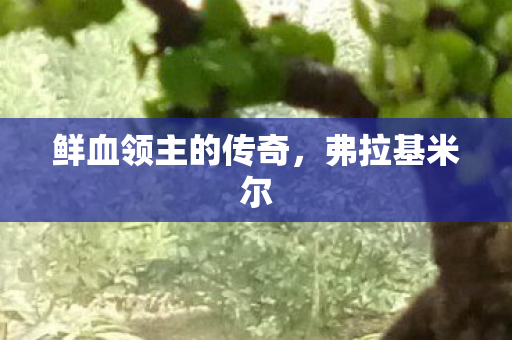 鲜血领主的传奇图片