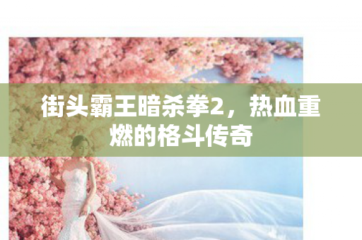 热血重燃的格斗传奇图片