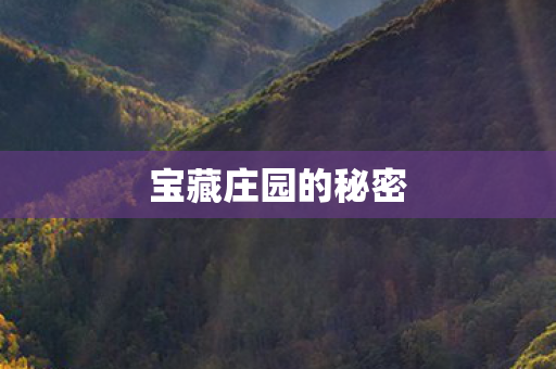 宝藏庄园的秘密图片