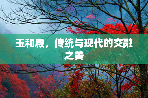 传统与现代的交融之美图片