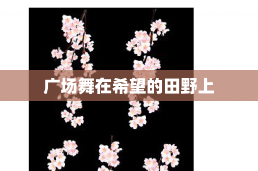 广场舞在希望的田野上图片